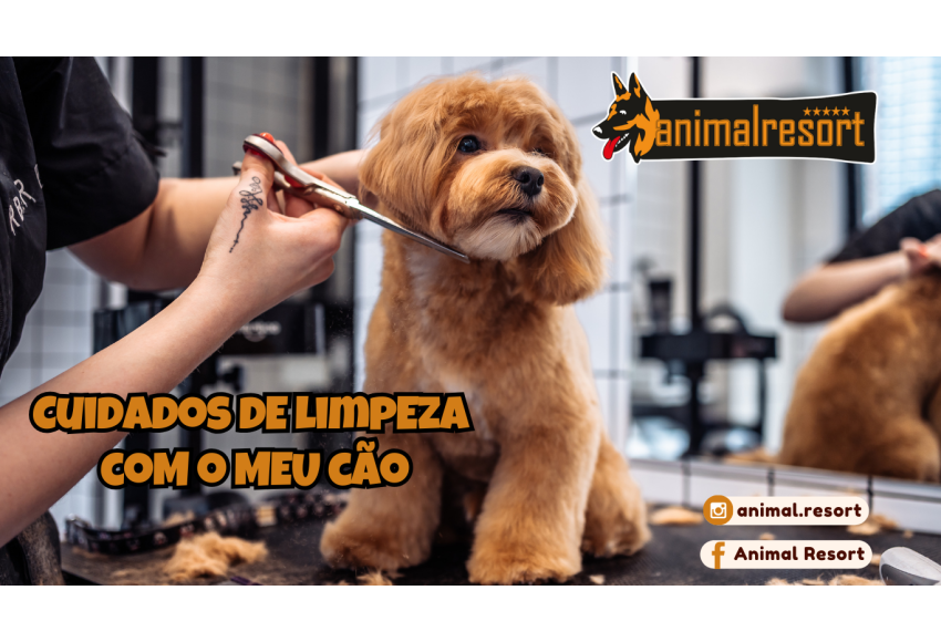 Cuidados de limpeza com o meu cão